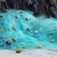 Image of fishing net with floats placed on the floor