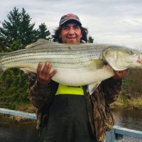 A man catch white perch and showing for us.