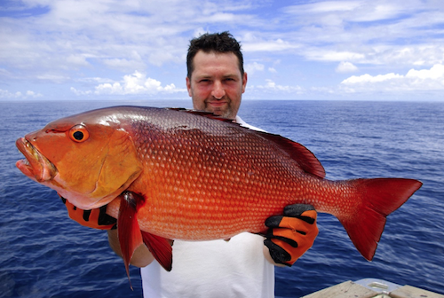 A fisherman showing his catched redsnapper