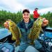 A man showing 2 fishes during his fishing session