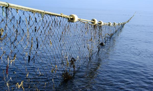 Fishing Net Was Tied Up For Fishing In The Deep Sea