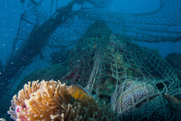 Fishing In Coral Reefs - Fishing Destructive Method.