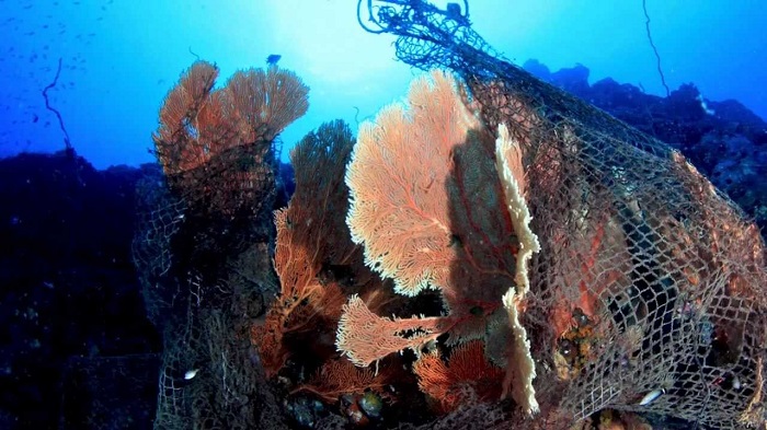 Destruction Method Of Fishing In Coral Reefs.