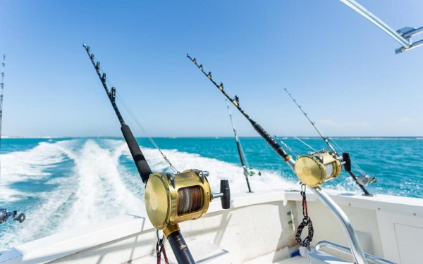 A Set Of Fishing Rod & Reels In The Ocean Fishing.