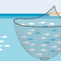 Vector Image of A Fishing Net Throwing From The Boat.