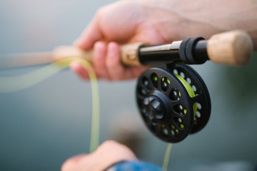 A Close-up Shot Of A Man Holding Fishing Rod In His Hand.