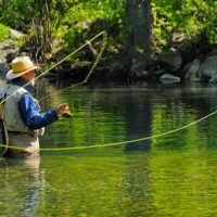 An Old Man Flyfishing On A Sunny Day.