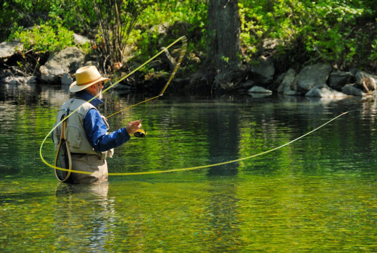 An Old Man Flyfishing On A Sunny Day.