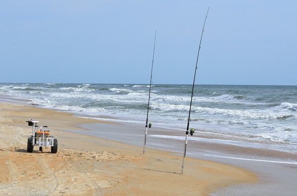 Fishing Rods Set Up On Beach Shore.