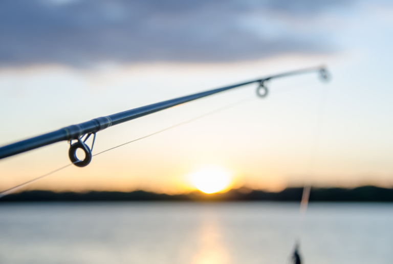 A Fishing Rod Setting Up On The Lake.