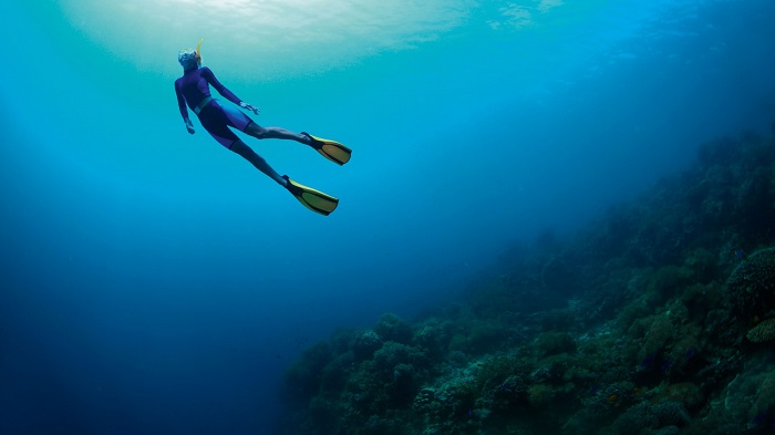 Spearfisher Swims OnThe Surface Of The Sea.