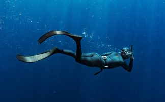 A Spearfisher Swims In The Blue Sea.