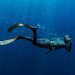 A Spearfisher Swims In The Blue Sea.